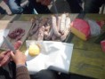 /album/fotogaleria-corte-en-refineria-y-p-f-la-plata/sindicato-la-plata-y-p-f-108-jpg/